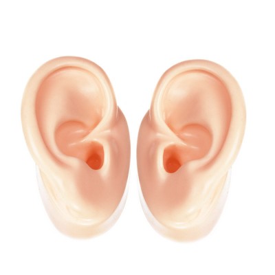 Colorful Artificial Silicone Human Ear Model For Hearing Aids Display